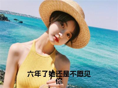 六年了她还是不愿见你免费阅读无弹窗，小说谢靖承池念大结局全文免费阅读