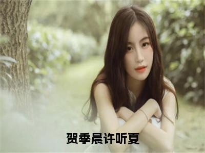 《贺季晨许听夏完整小说》许听夏贺季晨完结版全章节阅读