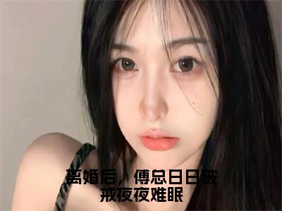 离婚后，傅总日日破戒夜夜难眠全文免费阅读_（叶聆之傅明司免费阅读无弹窗）离婚后，傅总日日破戒夜夜难眠最新章节在线阅读