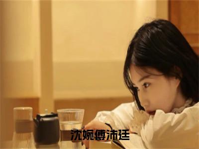 沈婉傅沛廷（沈婉傅沛廷）全文免费阅读_沈婉傅沛廷言诺诺，井傅宸小说最新章节列表