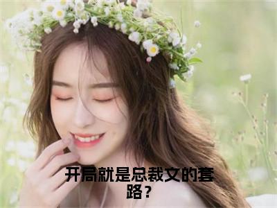 开局就是总裁文的套路？（南洙决陆岑岑）全文免费阅读无弹窗大结局_开局就是总裁文的套路？最新章节列表_（南洙决陆岑岑）