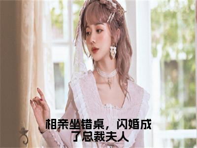 相亲坐错桌，闪婚成了总裁夫人小说全文免费阅读_（相亲坐错桌，闪婚成了总裁夫人）安柠宴时琛小说最新章节列表