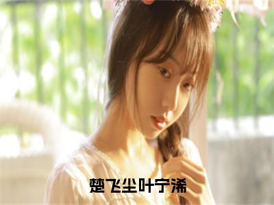 楚飞尘叶宁浠小说免费阅读无弹窗-楚飞尘叶宁浠（叶宁浠楚飞尘）小说免费阅读无弹窗大结局