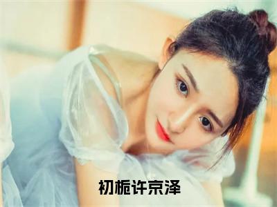 初栀许京泽全文免费阅读无弹窗大结局_初栀许京泽最新章节列表