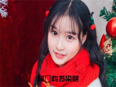 苏染眠段璟昀的小说主角（段璟昀苏染眠）免费阅读_段璟昀苏染眠热搜小说完结版阅读