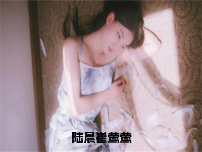 热门小说已完结崔莺莺陆晨小说无弹窗大结局_崔莺莺陆晨陆晨崔莺莺全文阅读大结局