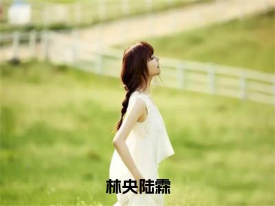 林央陆霖全文免费阅读无弹窗大结局_林央陆霖章节列表_