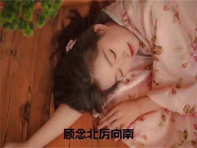 顾念北厉向南全文免费阅读无弹窗大结局_（顾念北厉向南阅读全文大结局）顾念北厉向南最新章节列表（顾念北厉向南）
