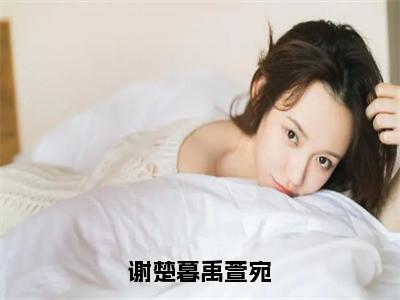 谢楚暮禹萱宛（禹萱宛谢楚暮）全文免费阅读_（禹萱宛谢楚暮）最新章节列表（禹萱宛谢楚暮）