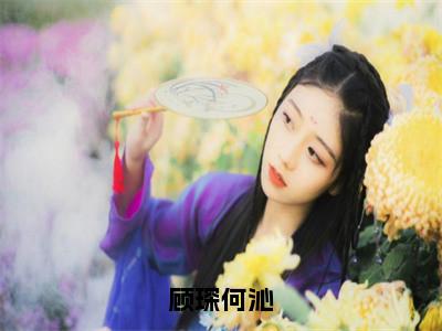 顾琛何沁（何沁顾琛）全文免费阅读无弹窗大结局_顾琛何沁最新章节列表何沁顾琛