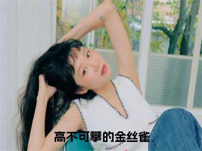 沈年王翠花（高不可攀的金丝雀）全文免费阅读无弹窗大结局_（高不可攀的金丝雀无弹窗）最新章节免费阅读_