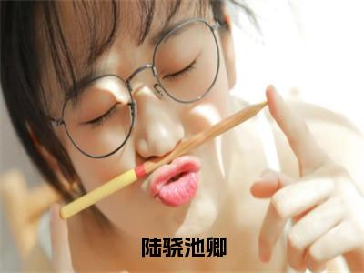 陆骁池卿（陆骁池卿）免费小说-陆骁池卿全文在线阅读