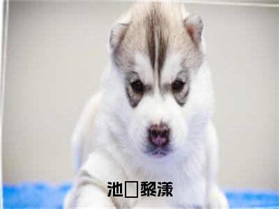 经典小说池璟黎漾无广告小说免费阅读黎漾池璟全章节免费阅读