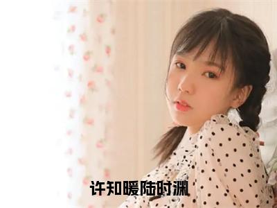 许知暖陆时渊小说好看吗-许知暖陆时渊陆时渊许知暖热门小说大结局阅读