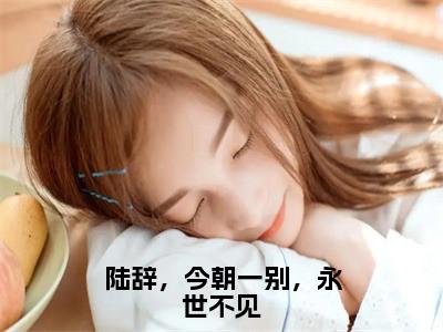（叶云曦陆辞）陆辞，今朝一别，永世不见小说全文免费_（叶云曦陆辞）最新章节列表