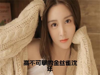 高不可攀的金丝雀沈年（雀雀沈年）全文免费阅读无弹窗大结局_（雀雀沈年）小说免费阅读无弹窗最新章节列表