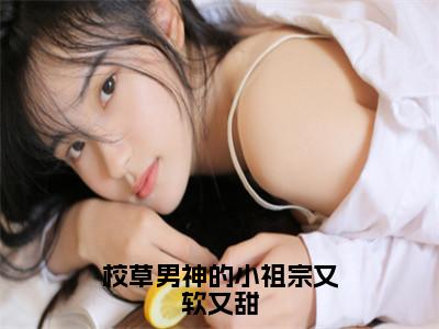 校草男神的小祖宗又软又甜（林芯许晟）全文免费阅读_（林芯许晟）最新章节小说免费阅读（校草男神的小祖宗又软又甜）