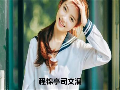 程锦亭司文澜是什么小说-程锦亭司文澜免费小说在线阅读