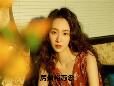 厉景裕苏念小说（苏念厉景裕）免费阅读全文无弹窗大结局_苏念厉景裕免费阅读无弹窗小说_小说