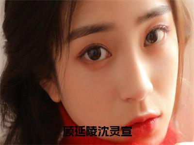 顾延陵沈灵宣小说（沈灵宣顾延陵）全文免费阅读无弹窗大结局_（顾延陵沈灵宣）沈灵宣顾延陵最新章节列表