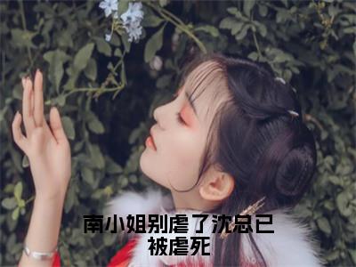 沈希衍南浅全文（南小姐别虐了沈总已被虐死）全文免费阅读无弹窗大结局_南小姐别虐了沈总已被虐死免费最新章节列表_