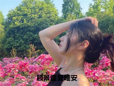 顾景霆夏唯安小说（夏唯安顾景霆）全文免费阅读无弹窗_顾景霆夏唯安小说_