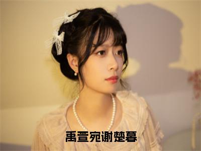 禹萱宛谢楚暮小说全文免费阅读无弹窗大结局_禹萱宛谢楚暮最新章节列表_