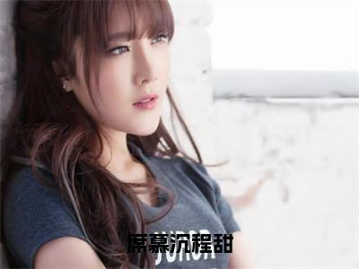 席慕沉程甜免费小说全文免费阅读无弹窗大结局_程甜席慕沉完结版在线阅读