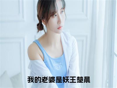 楚晨全文免费阅读_（我的老婆是妖王楚晨免费阅读无弹窗）楚晨最新章节列表
