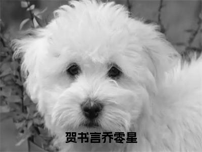 贺书言乔零星（乔零星贺书言）全文免费阅读无弹窗大结局_（乔零星贺书言）全文最新章节列表