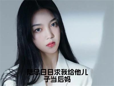 陆总日日求我给他儿子当后妈在线阅读无弹窗_陆忱时洛心最新章节列表_
