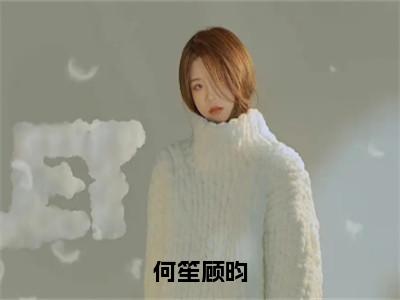 何笙顾昀（何笙顾昀）完整版小说阅读_何笙顾昀全文免费阅读（何笙顾昀）