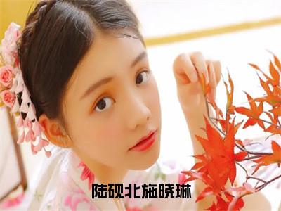 施晓琳陆砚北（陆砚北施晓琳）全文免费阅读_（施晓琳陆砚北）陆砚北施晓琳最新章节小说免费阅读_