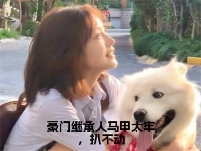 豪门继承人马甲太牢，扒不动（陈愿傅京霆）全文小说-豪门继承人马甲太牢，扒不动小说最新章节免费阅读