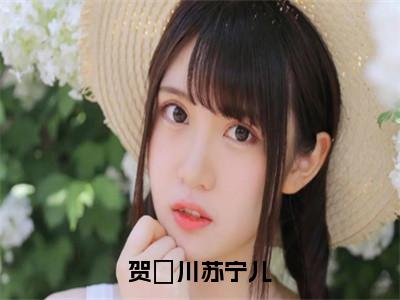 贺璟川苏宁儿（苏宁儿贺璟川）多人推荐阅读-精选小说（苏宁儿贺璟川）完整版免费阅读