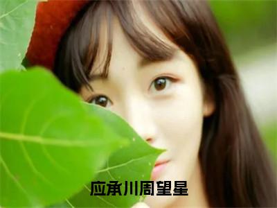 应承川周望星（周望星应承川）全文免费阅读无弹窗大结局_应承川周望星在线阅读（周望星应承川）
