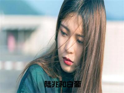 白葡陆兆和（陆兆和白葡）全文免费阅读无弹窗大结局_（白葡陆兆和小说全文免费阅读）最新章节列表