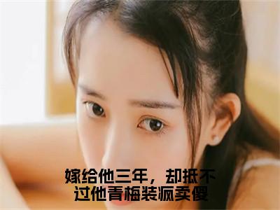 嫁给他三年，却抵不过他青梅装疯卖傻（许容辞程璃）全文免费阅读-（许容辞程璃无弹窗阅读）最新章节小说免费阅读