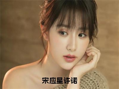 宋应星许诺免费阅读-（宋应星许诺）全文免费阅读无弹窗大结局（宋应星许诺）最新章节列表_