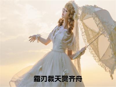 霜刃裁天贺齐舟（贺齐舟）全文免费阅读无弹窗大结局_霜刃裁天贺齐舟在线阅读（贺齐舟）