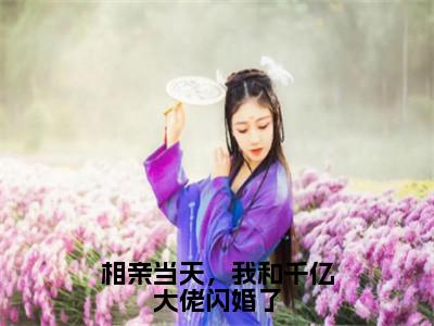 相亲当天，我和千亿大佬闪婚了（安暖）免费小说-主角安暖全文在线完本阅读