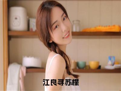 主角苏檬江良寻小说江良寻苏檬小说全文免费阅读（免费）+（番外）