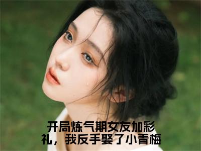 开局炼气期女友加彩礼，我反手娶了小青梅小说（徐明浩）全文免费阅读无弹窗大结局_（开局炼气期女友加彩礼，我反手娶了小青梅）徐明浩小说免费阅读最新章节列表