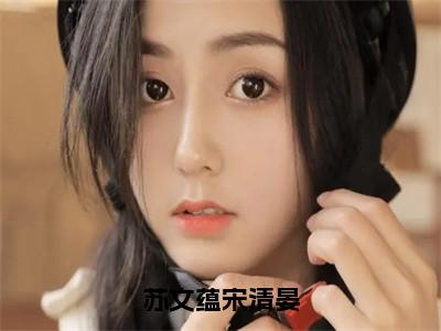 苏文蕴宋清晏全网首发最新小说-苏文蕴宋清晏全文在线免费阅读