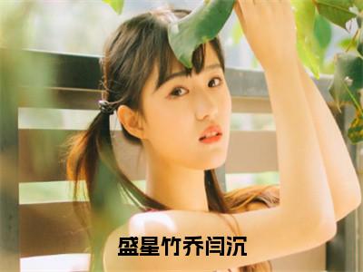 盛星竹乔闫沉小说免费阅读全文在线阅读，乔闫沉盛星竹的小说在线阅读全文