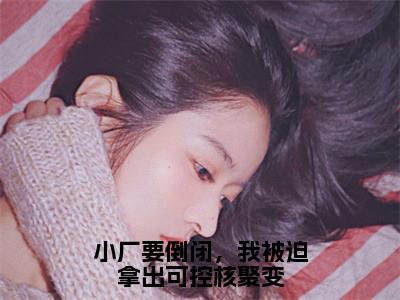 小厂要倒闭，我被迫拿出可控核聚变（张奇）全文免费阅读无弹窗_小厂要倒闭，我被迫拿出可控核聚变完整版最新阅读_（张奇）