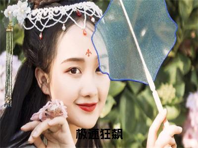 （极速狂飙）全文免费阅读无弹窗大结局_（李强阅读无弹窗）极速狂飙最新章节列表