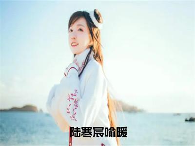 陆寒宸喻暖小说（喻暖陆寒宸）全文免费阅读无弹窗大结局_陆寒宸喻暖小说最新章节列表_