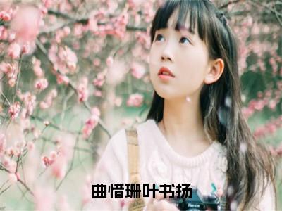 小说《曲惜珊叶书扬》全文免费阅读无弹窗-叶书扬曲惜珊小说全文在线赏析_