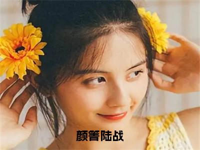 颜箐陆战（陆战颜箐）全文免费阅读无弹窗大结局_颜箐陆战全文免费阅读最新章节列表